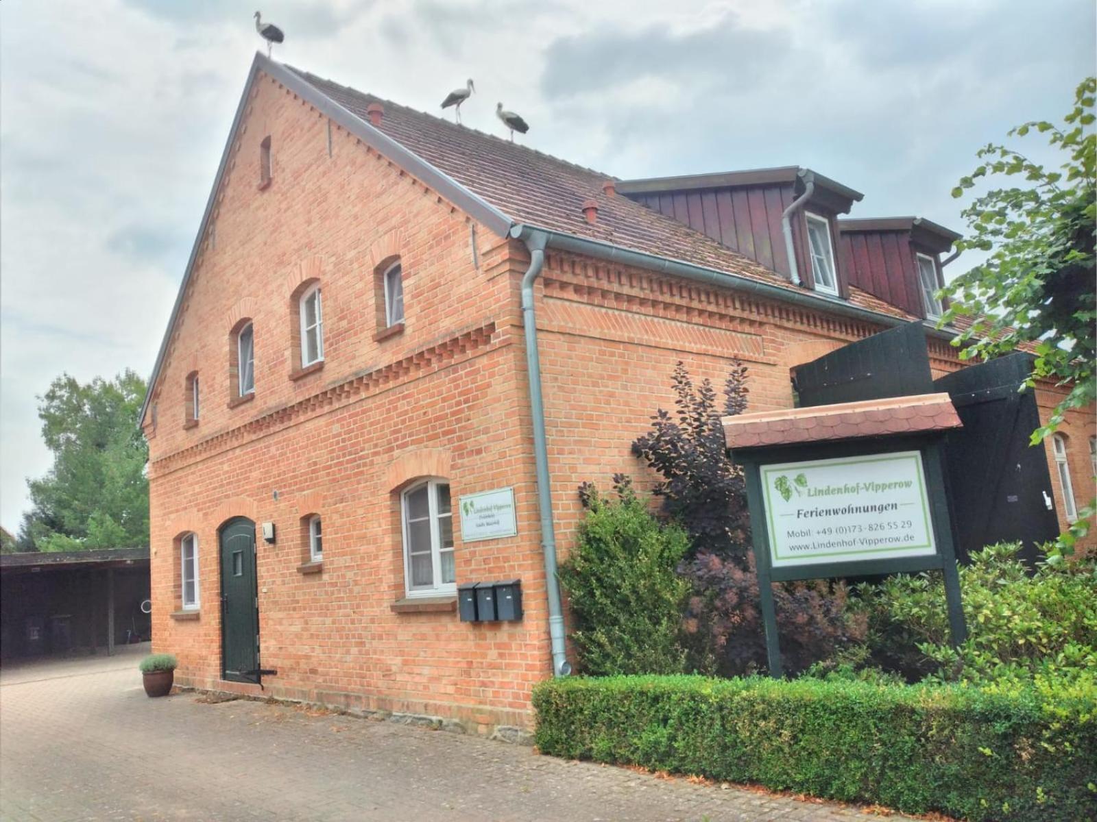 Lindenhof, Wohnung 1, Giebel Vipperow Exterior foto